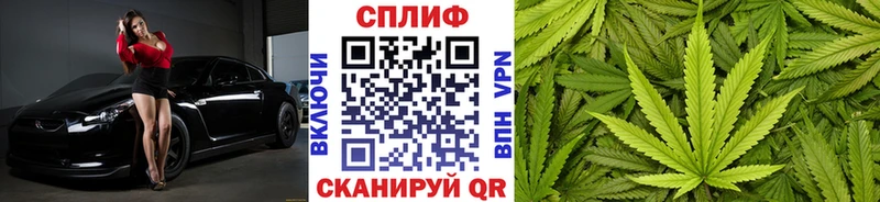 где продают наркотики  Радужный  Каннабис семена 